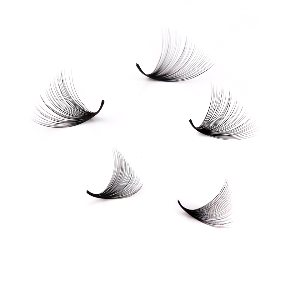 Lashprofessor XL Tray رموش مرو - مراجعة Mega Volume Lash وسعره